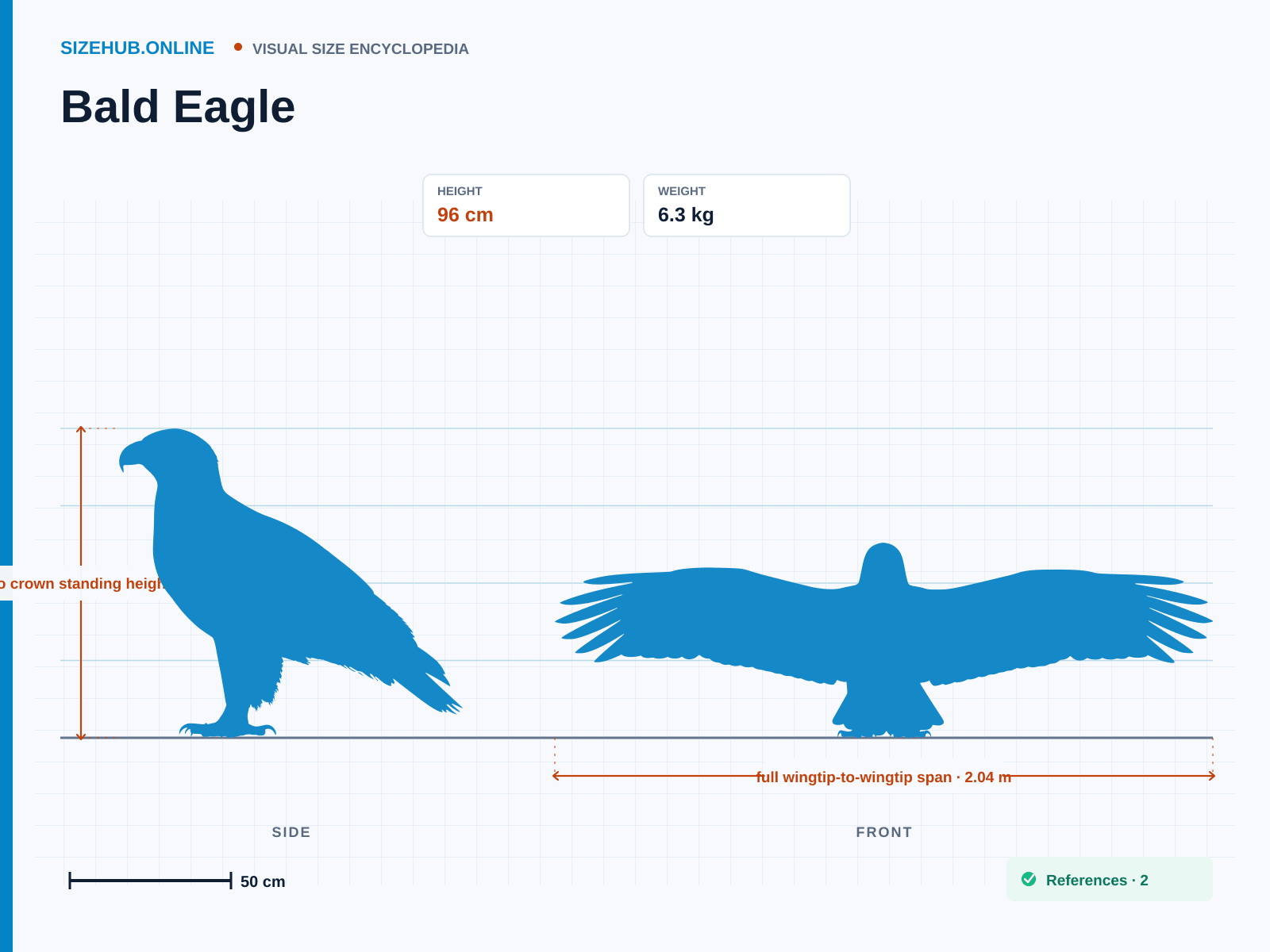 Bald Eagle: Size infographic · Height 96 cm · Length 96 cm · Width 2.04 m