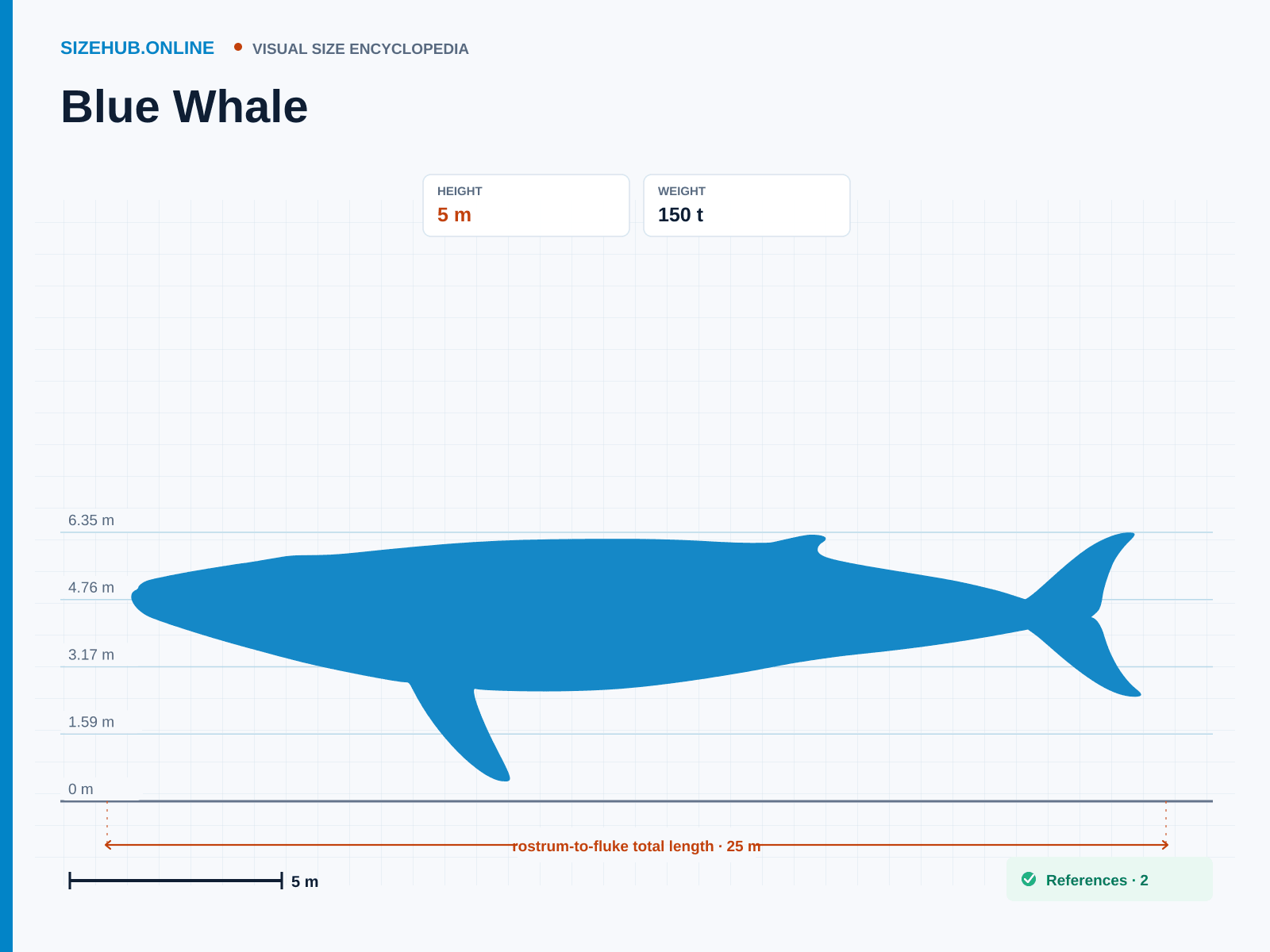 Blue Whale: Size infographic · Height 5 m · Length 25 m