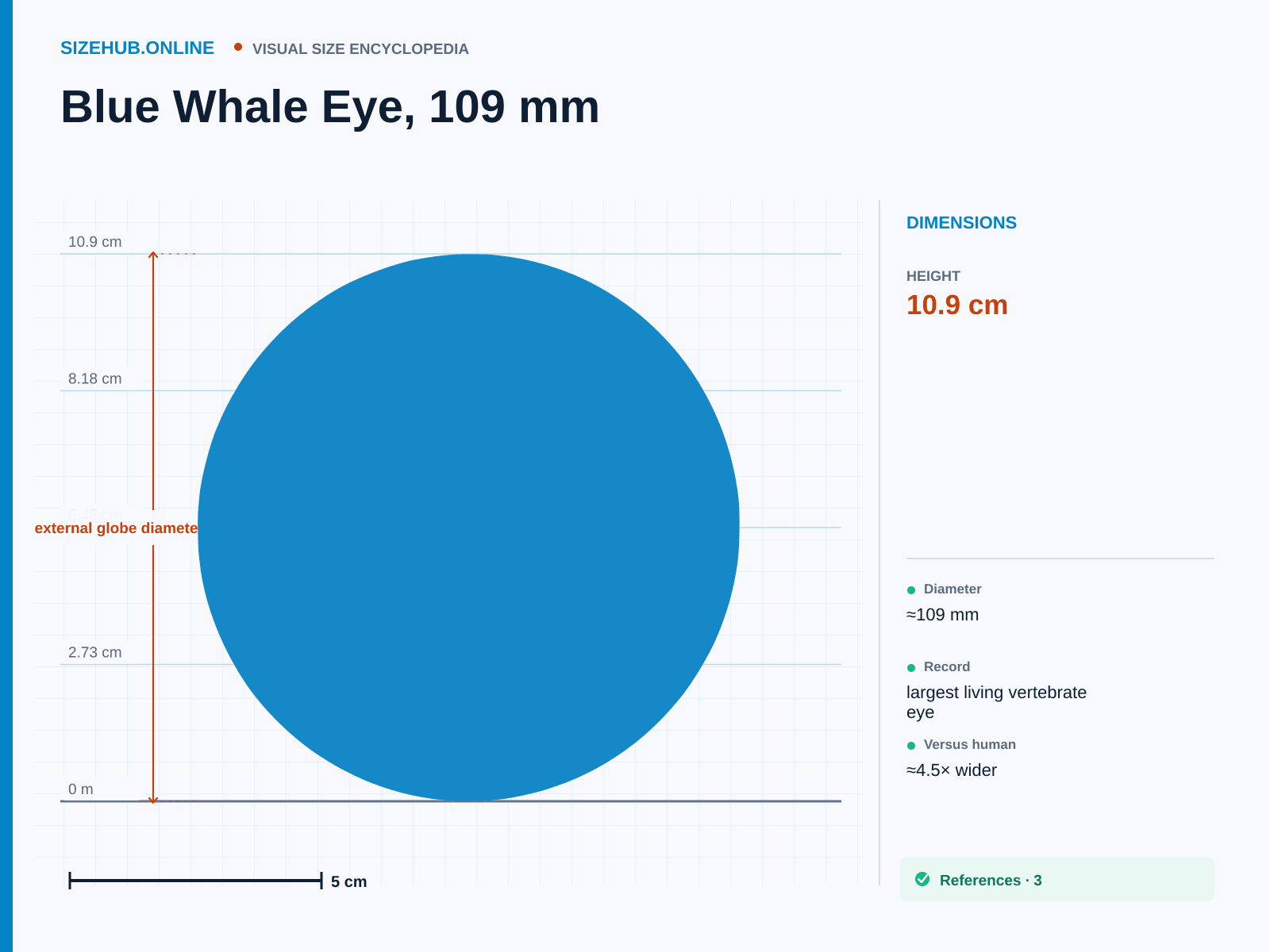Blue Whale Eye, 109 mm: Size infographic · Height 10.9 cm · Length 10.9 cm · Width 10.9 cm
