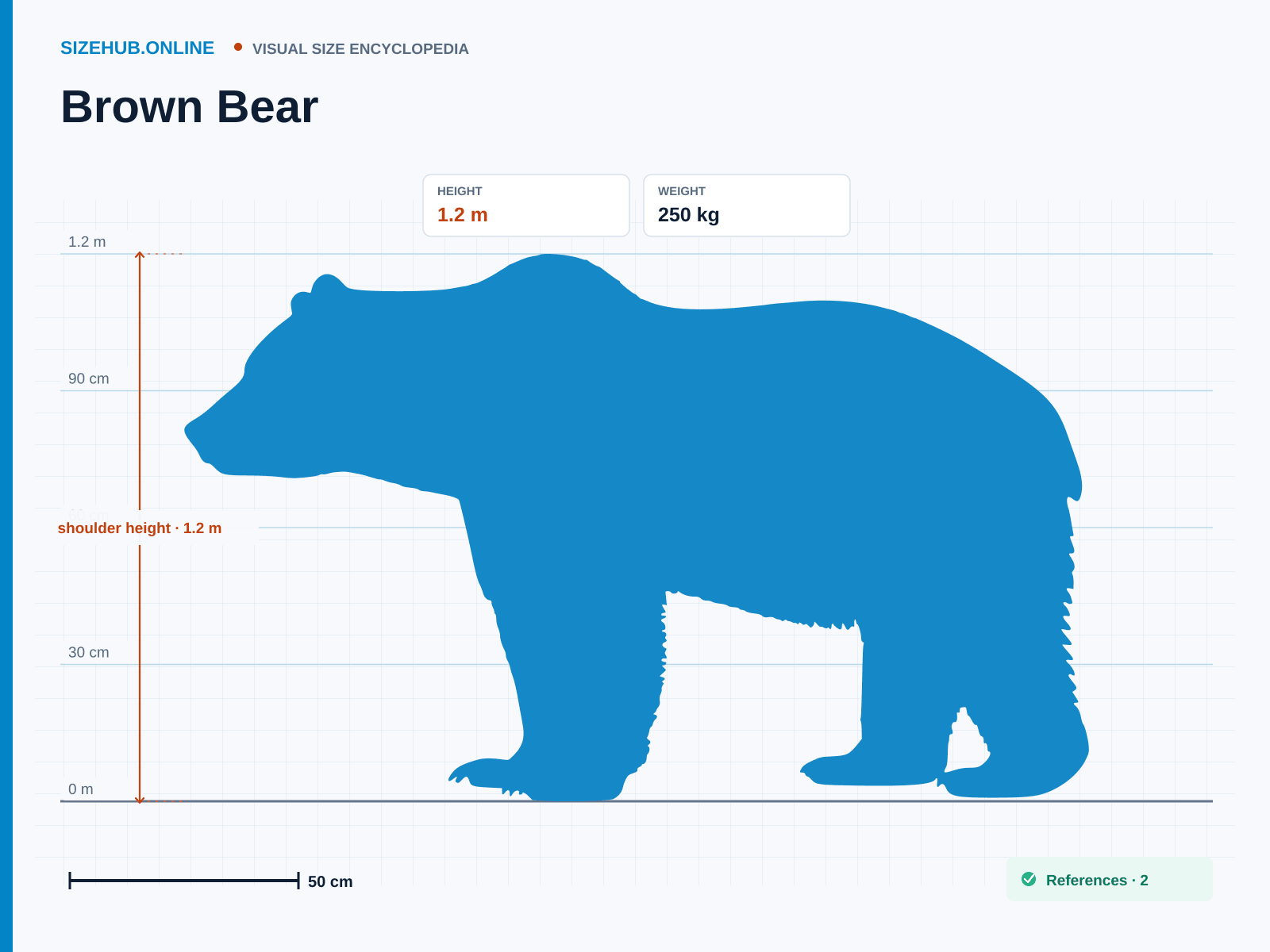 Brown Bear: Size infographic · Height 1.2 m · Length 2.1 m