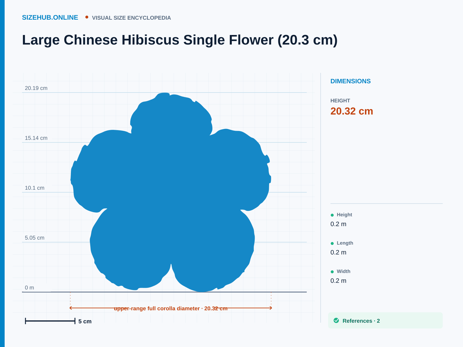 Large Chinese Hibiscus Single Flower (20.3 cm): Size infographic · Height 20.32 cm · Length 20.32 cm · Width 20.32 cm