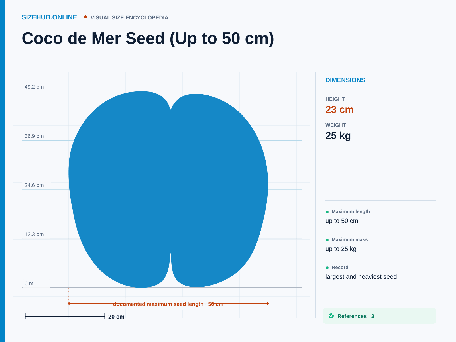 Coco de Mer Seed (Up to 50 cm): Size infographic · Height 23 cm · Length 50 cm · Width 34 cm