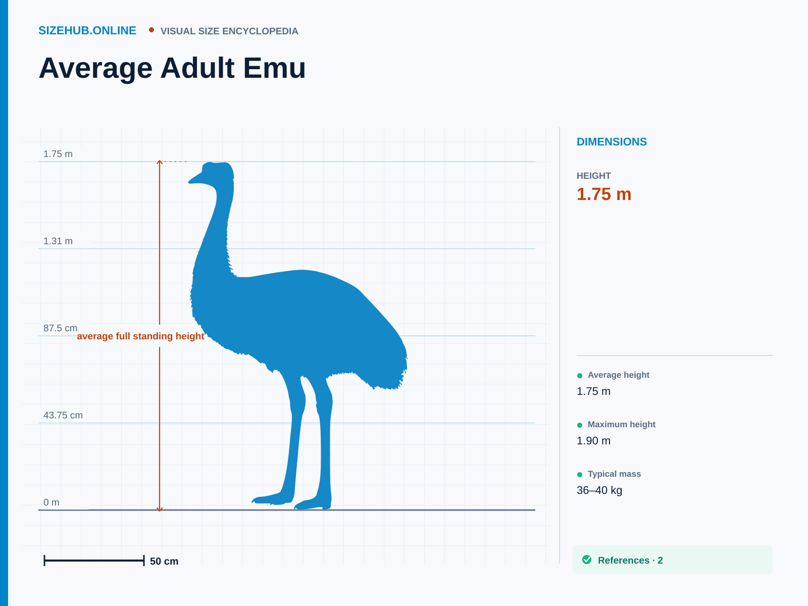 Average Adult Emu: Size infographic · Height 1.75 m
