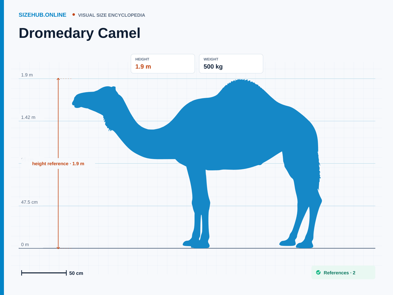 Dromedary Camel: Size infographic · Height 1.9 m · Length 3 m