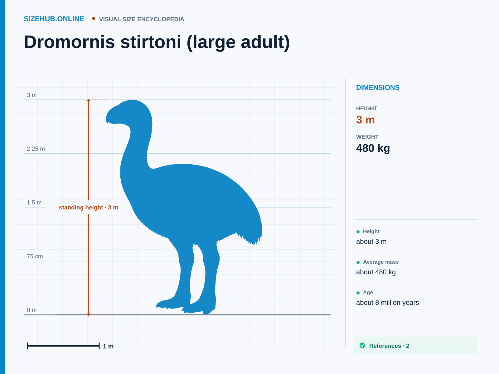 Dromornis stirtoni (large adult): Size infographic · Height 3 m