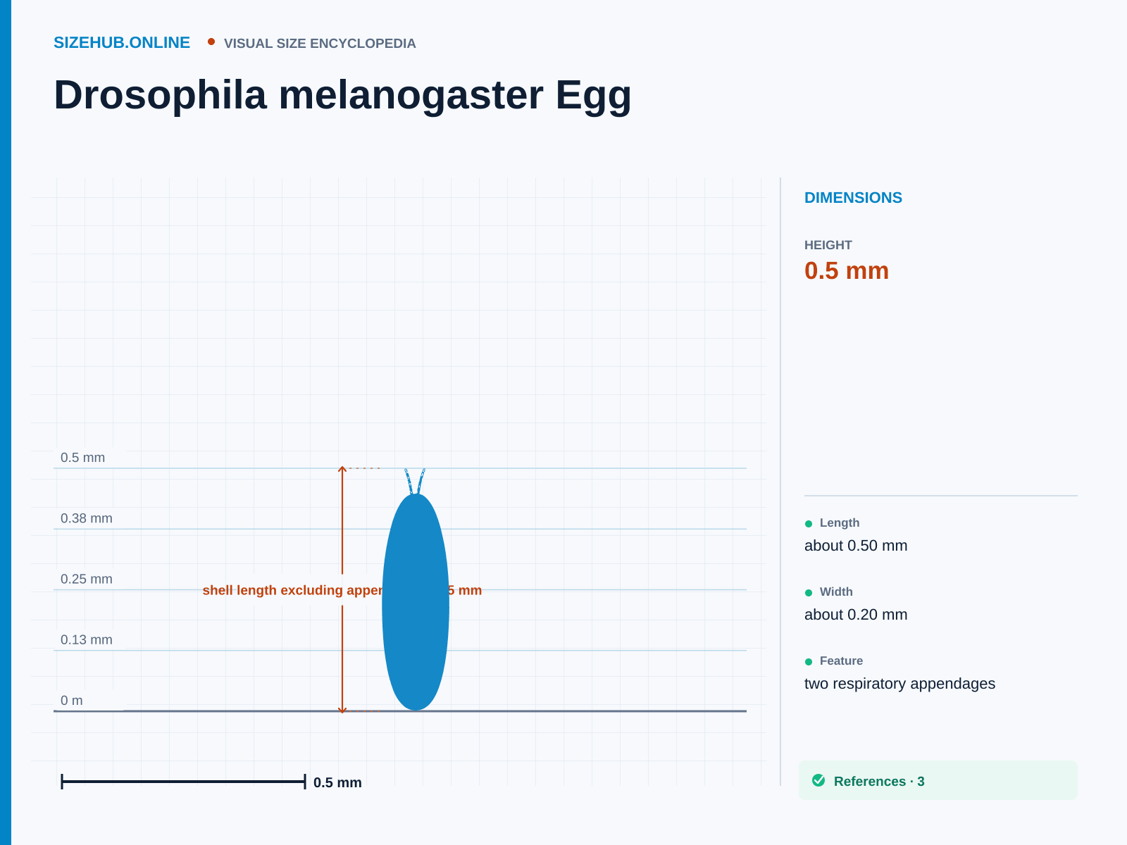 Drosophila melanogaster Egg: Size infographic · Height 0.5 mm · Length 0.2 mm · Width 0.2 mm