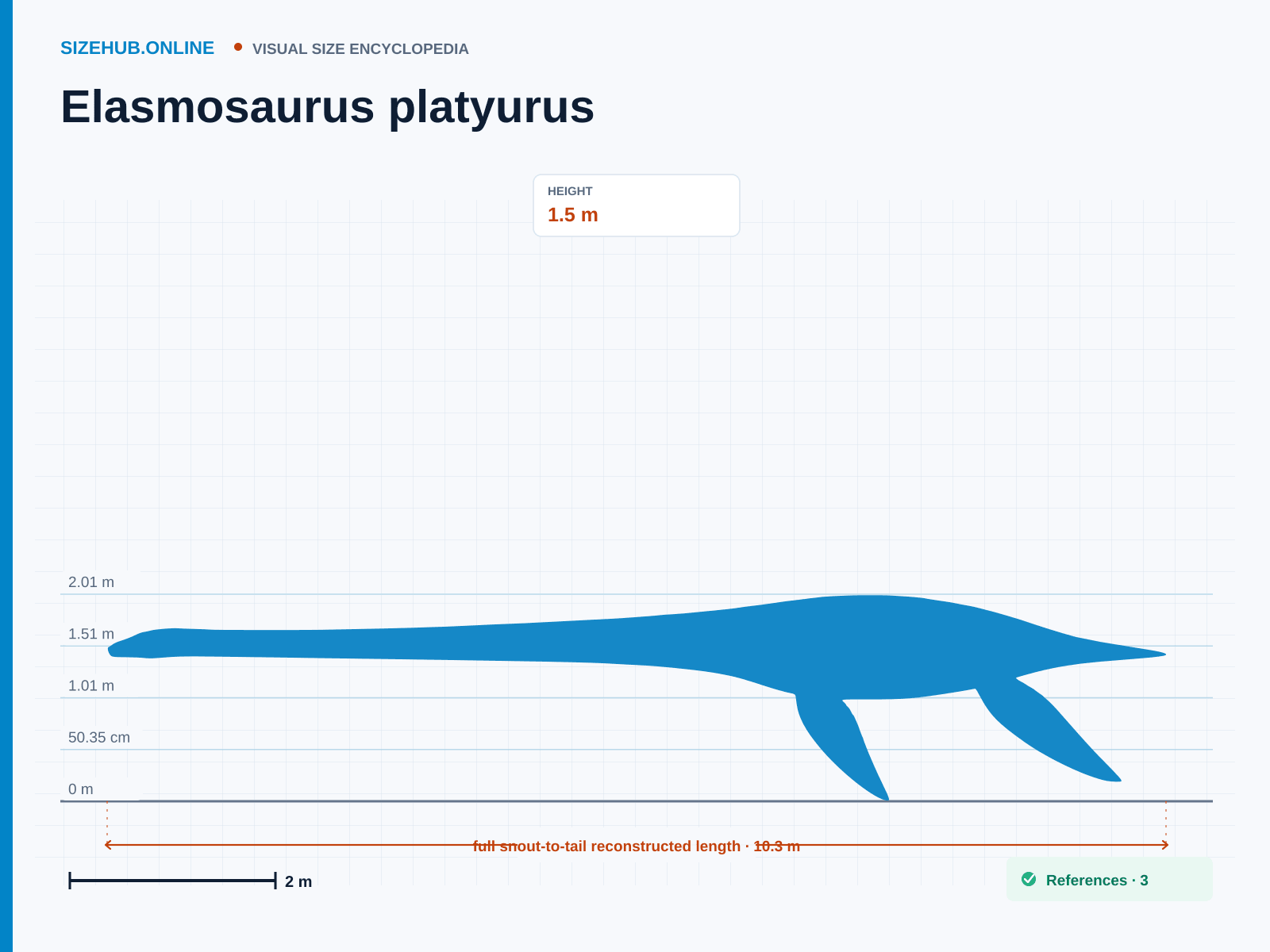 Elasmosaurus platyurus: Size infographic · Height 1.5 m · Length 10.3 m
