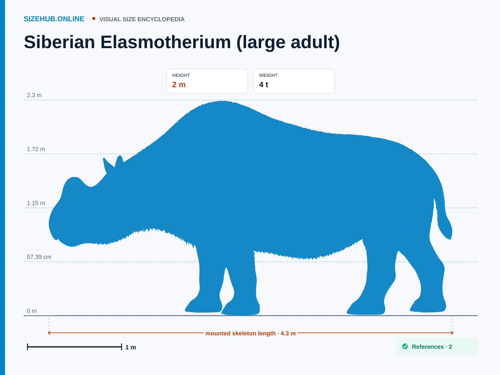 Siberian Elasmotherium (large adult): Size infographic · Height 2 m · Length 4.3 m