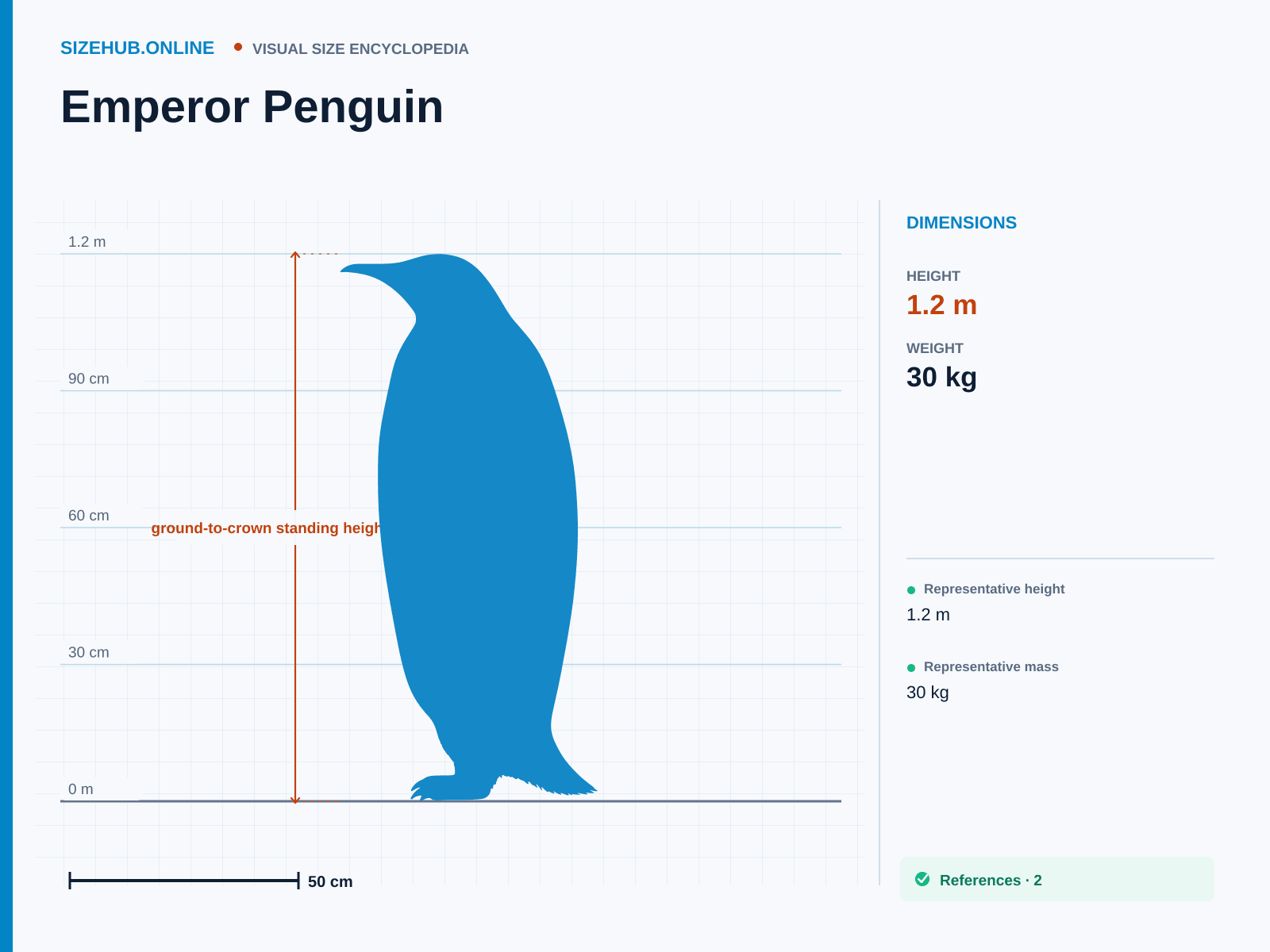 Emperor Penguin: Size infographic · Height 1.2 m