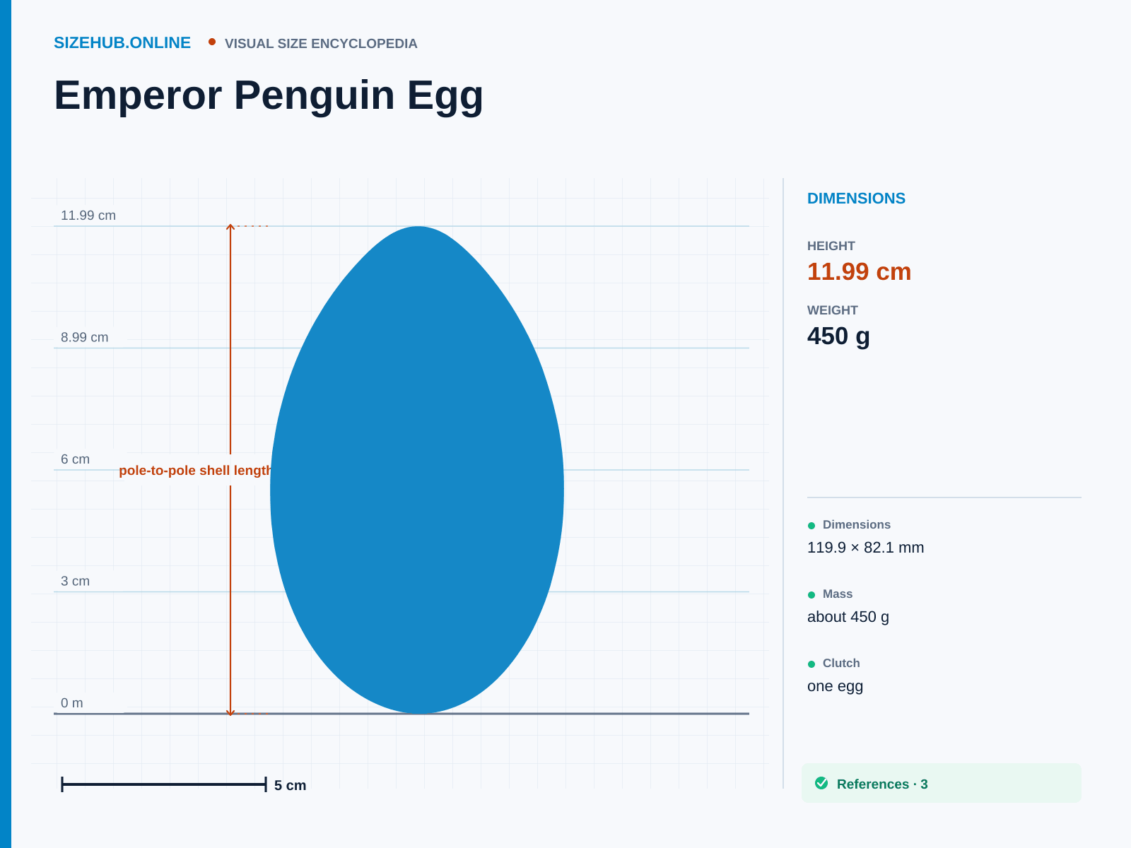 Emperor Penguin Egg: Size infographic · Height 11.99 cm · Length 8.21 cm · Width 8.21 cm