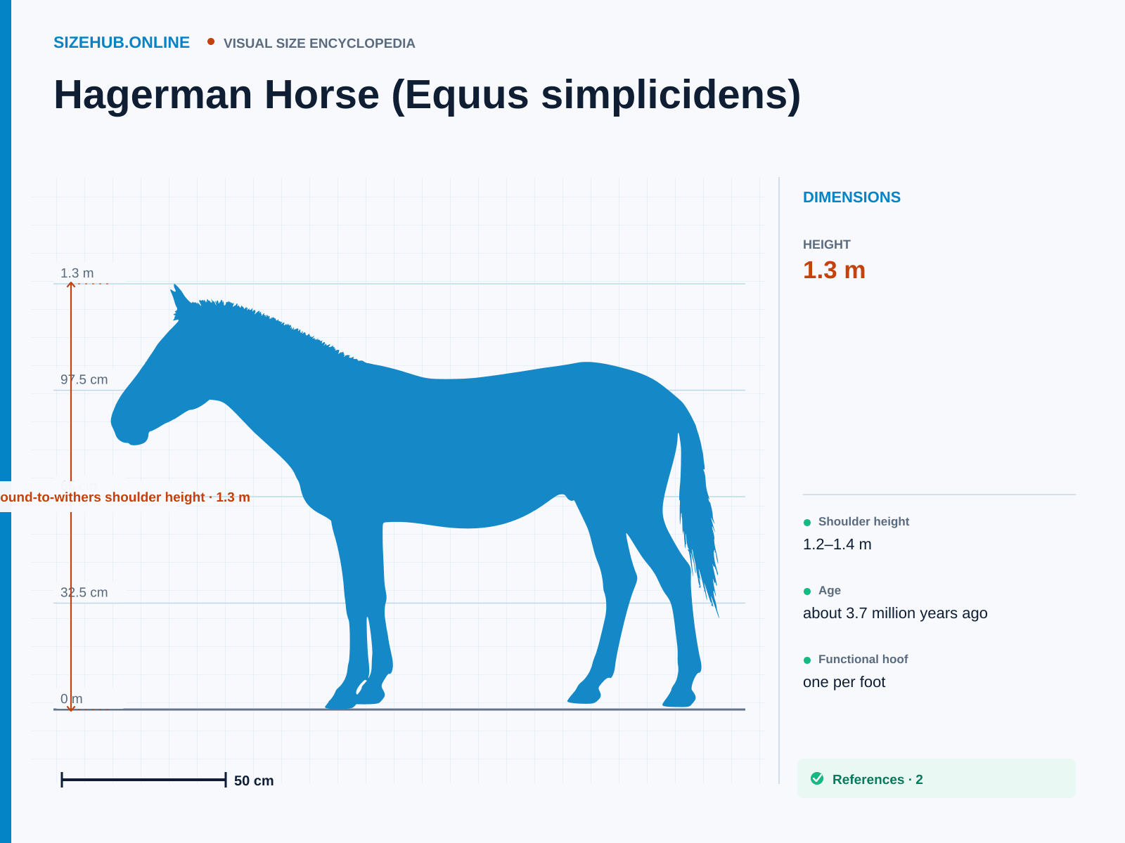 Hagerman Horse (Equus simplicidens): Size infographic · Height 1.3 m