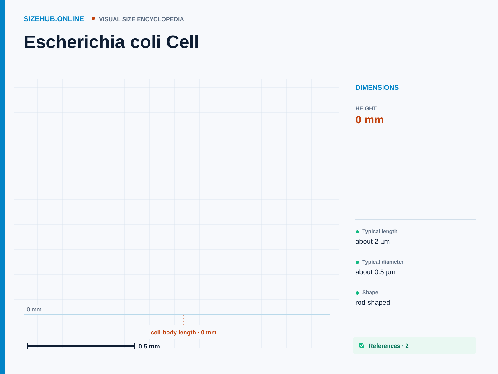 Escherichia coli Cell: Size infographic · Height 0 mm · Length 0 mm · Width 0 mm