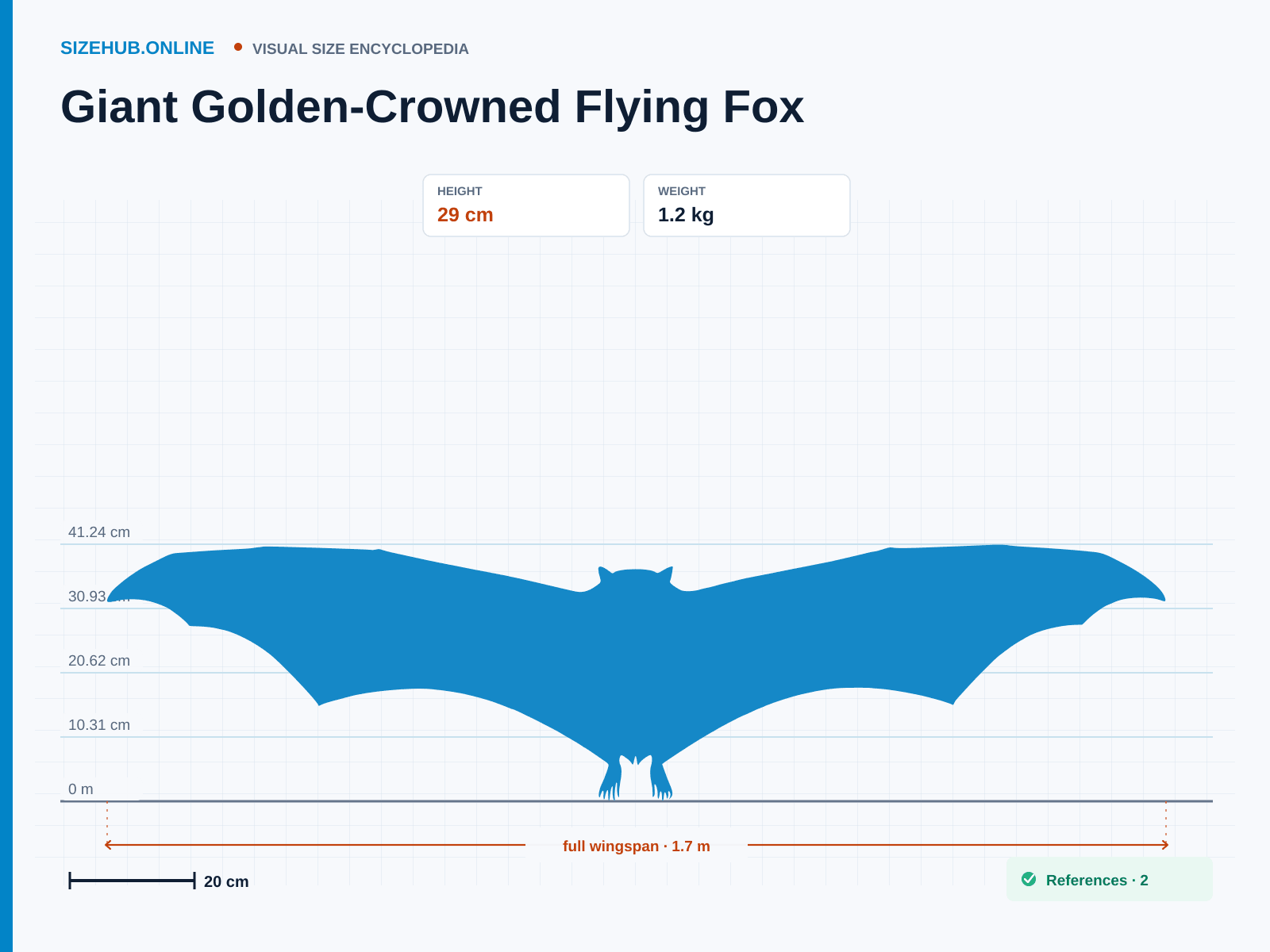 Giant Golden-Crowned Flying Fox: Size infographic · Height 29 cm · Width 1.7 m