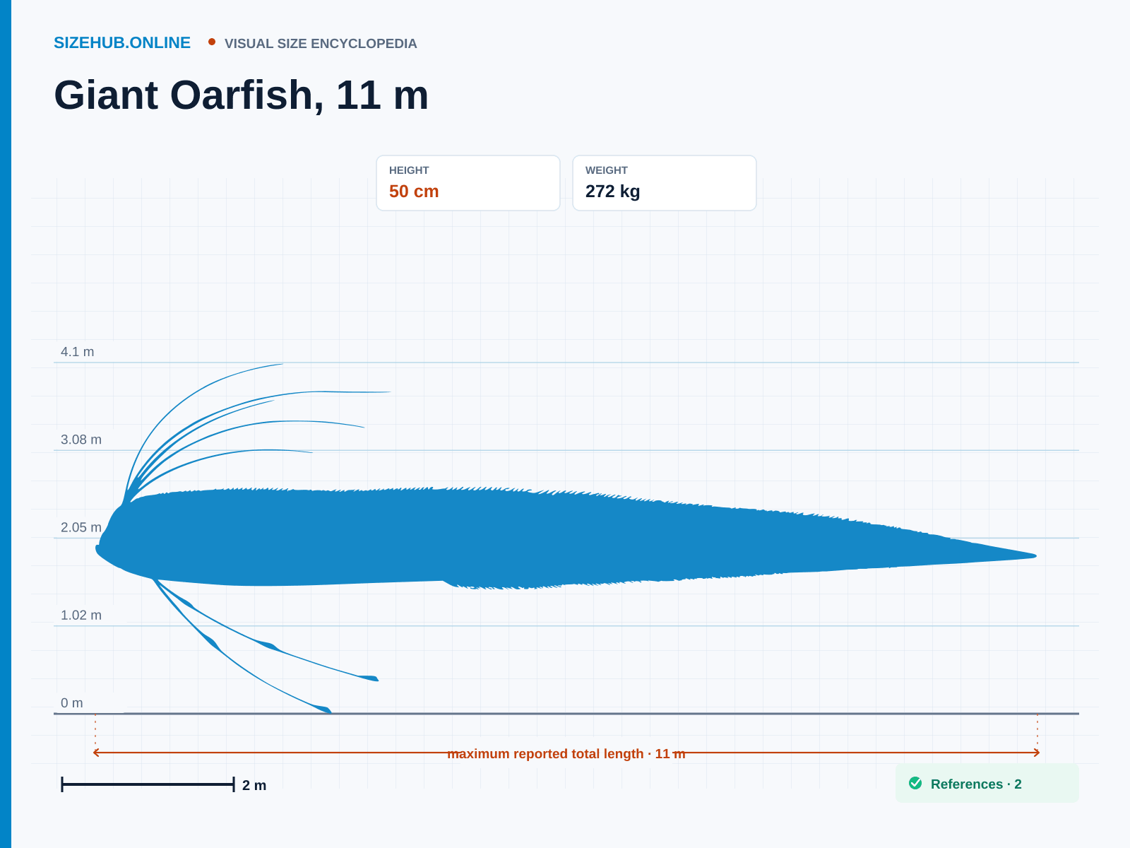 Giant Oarfish, 11 m: Size infographic · Height 50 cm · Length 11 m · Width 20 cm