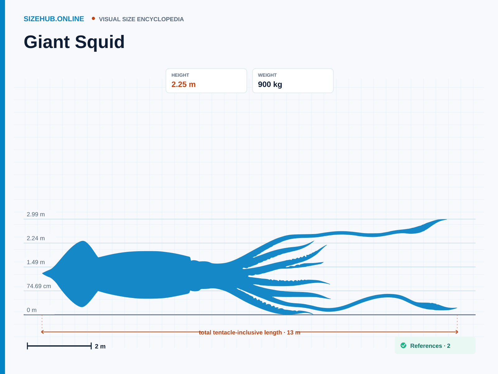 Giant Squid: Size infographic · Height 2.25 m · Length 13 m