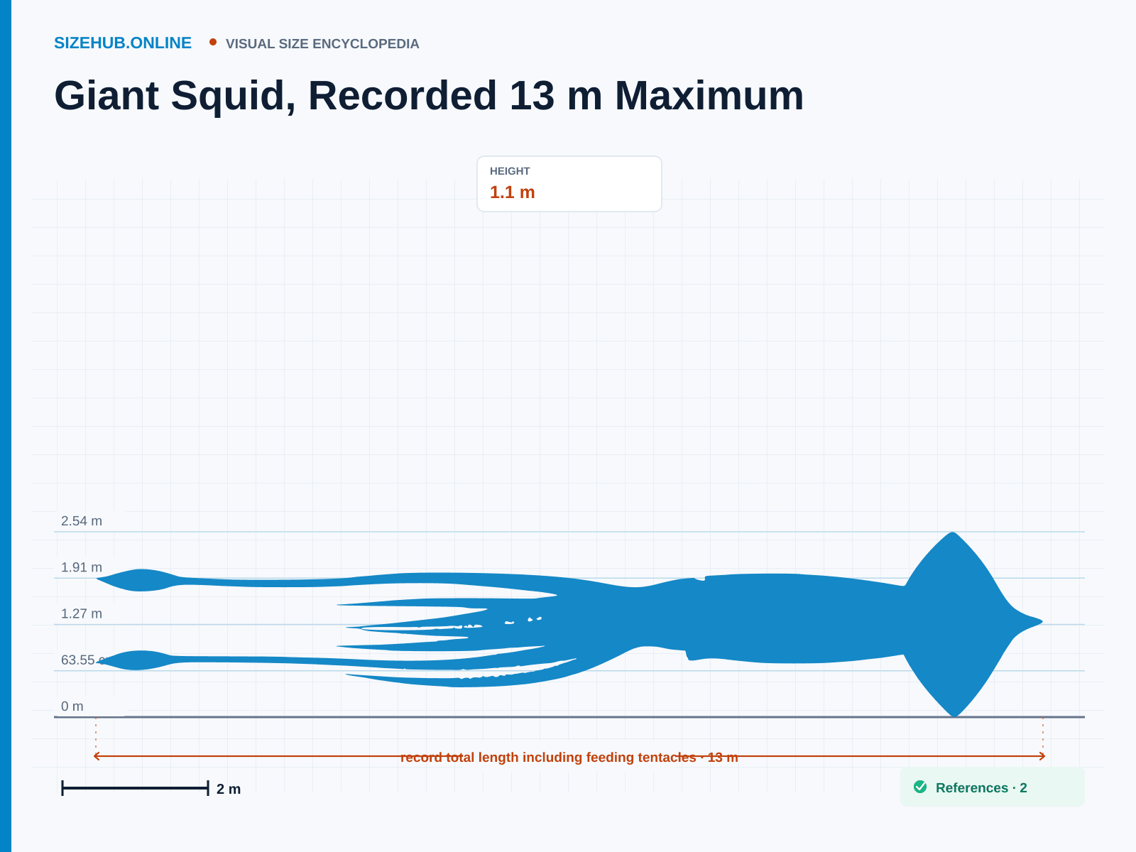 Giant Squid, Recorded 13 m Maximum: Size infographic · Height 1.1 m · Length 13 m · Width 90 cm