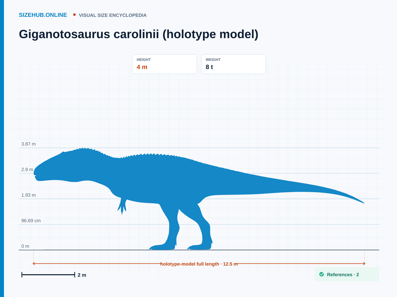 Giganotosaurus carolinii (holotype model): Size infographic · Height 4 m · Length 12.5 m