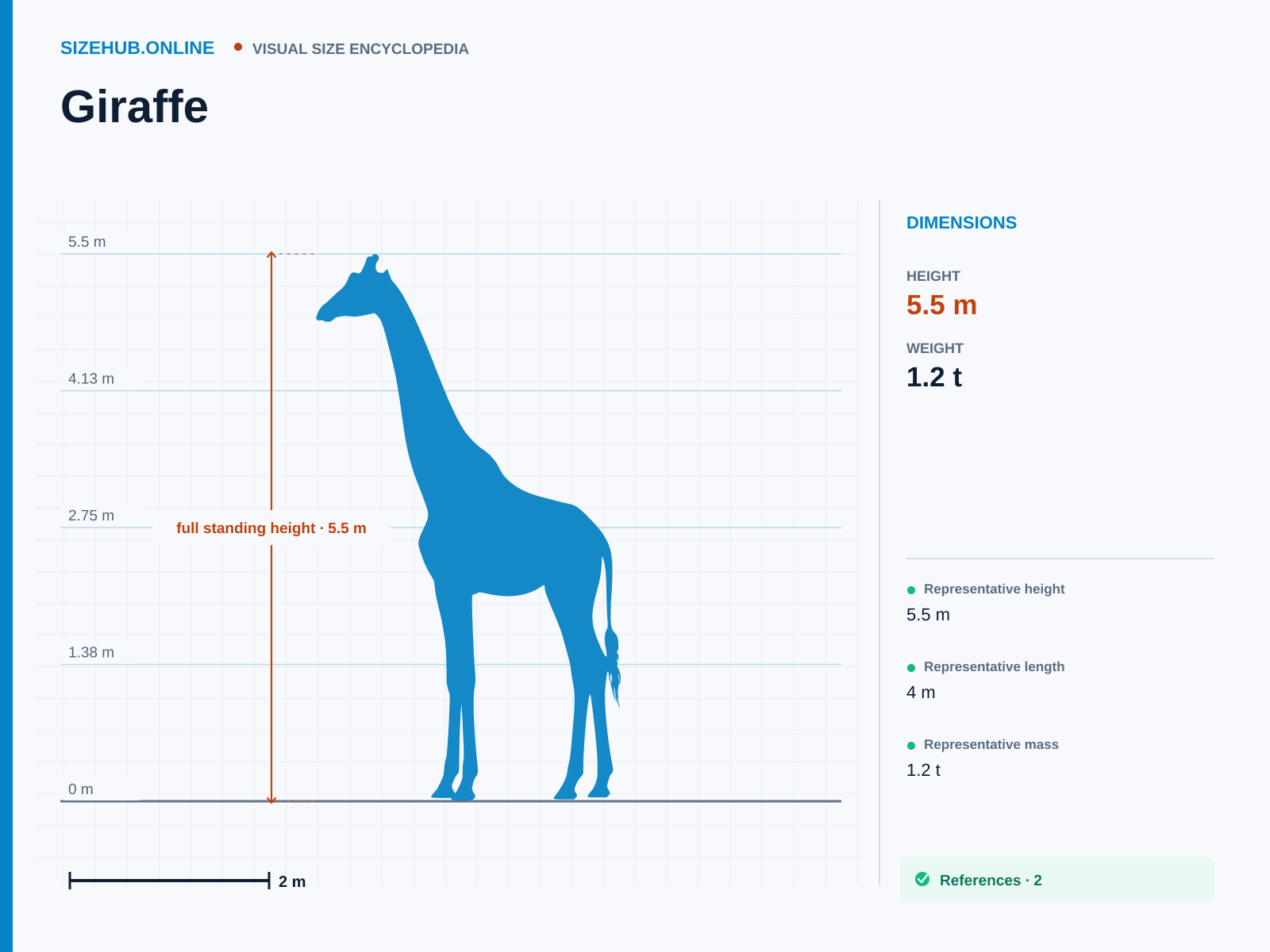 Giraffe: Size infographic · Height 5.5 m · Length 4 m