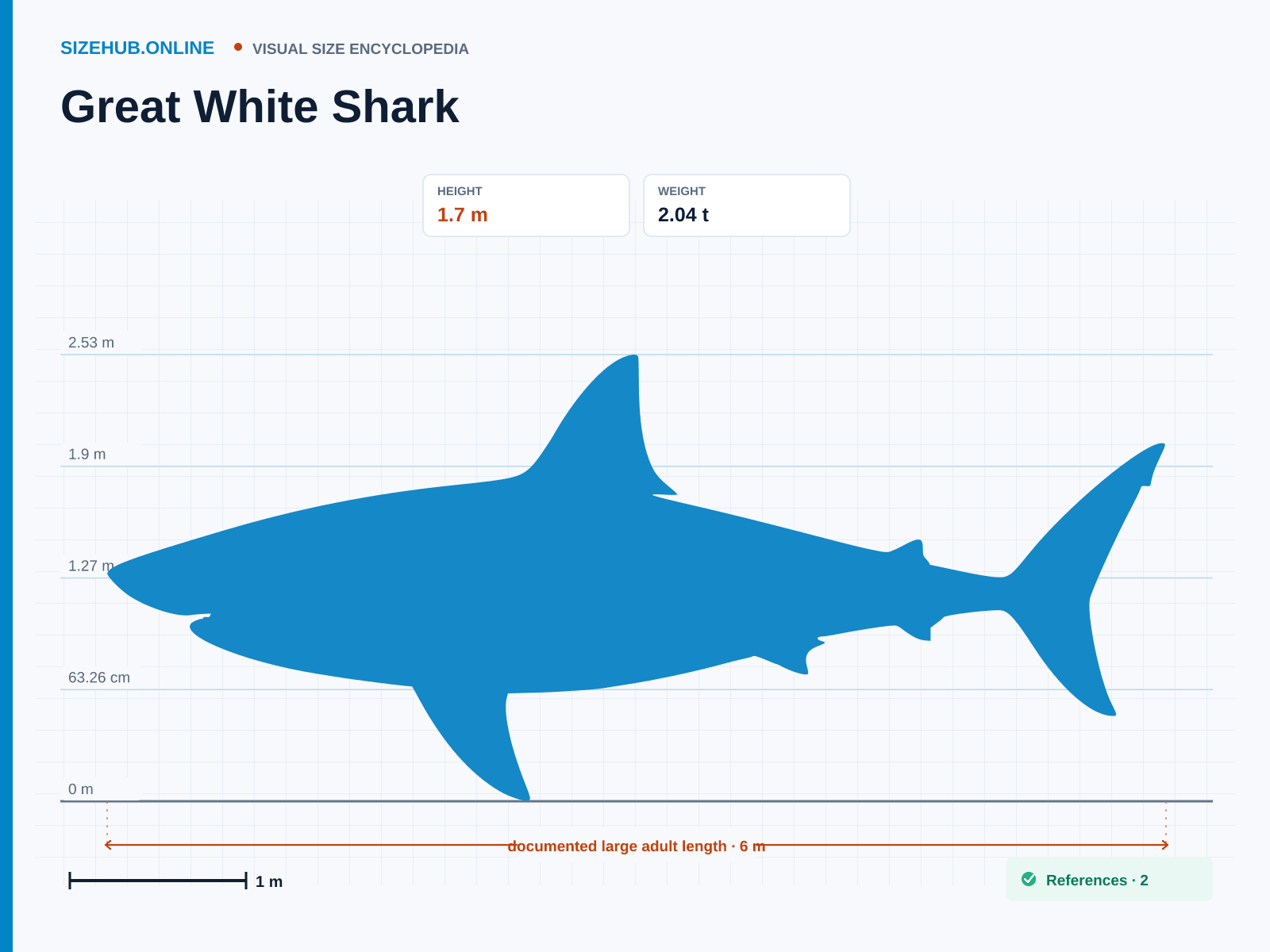 Great White Shark: Size infographic · Height 1.7 m · Length 6 m · Width 1.5 m