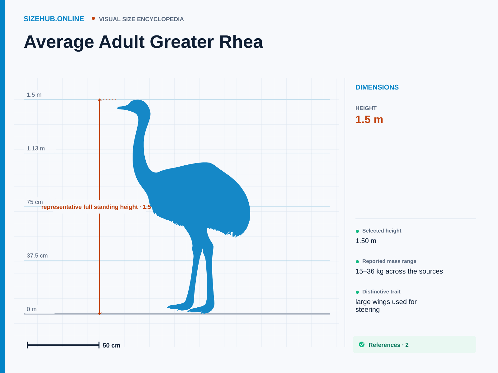 Average Adult Greater Rhea: Size infographic · Height 1.5 m