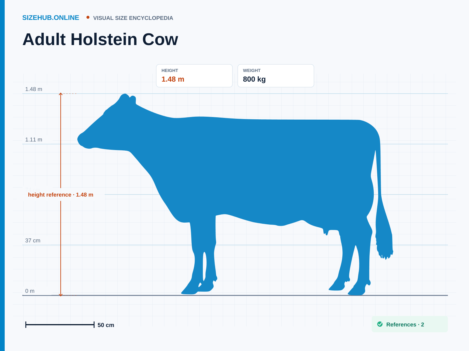Adult Holstein Cow: Size infographic · Height 1.48 m · Length 1.8 m · Width 64 cm