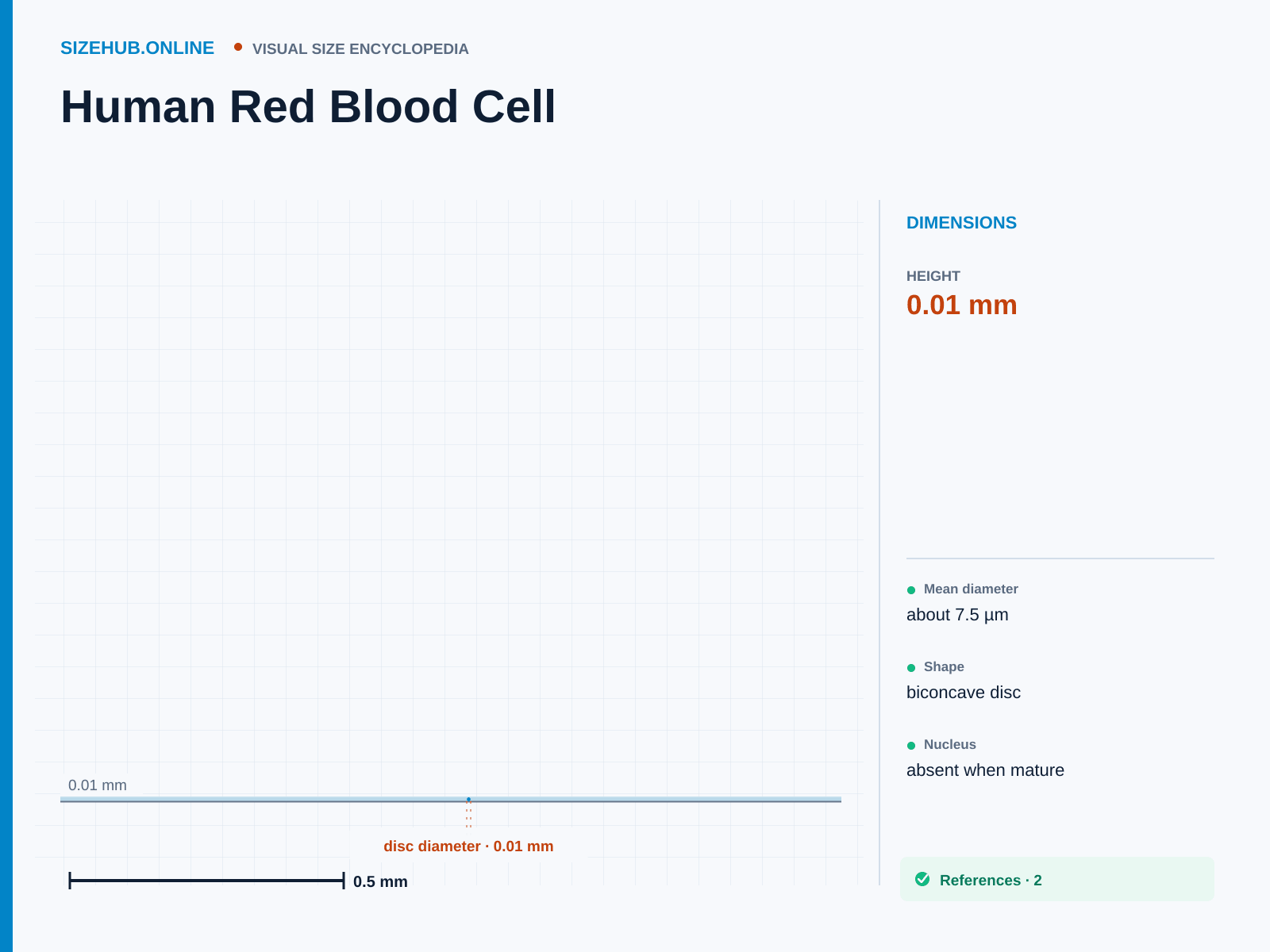 Human Red Blood Cell: Size infographic · Height 0.01 mm · Length 0.01 mm · Width 0.01 mm