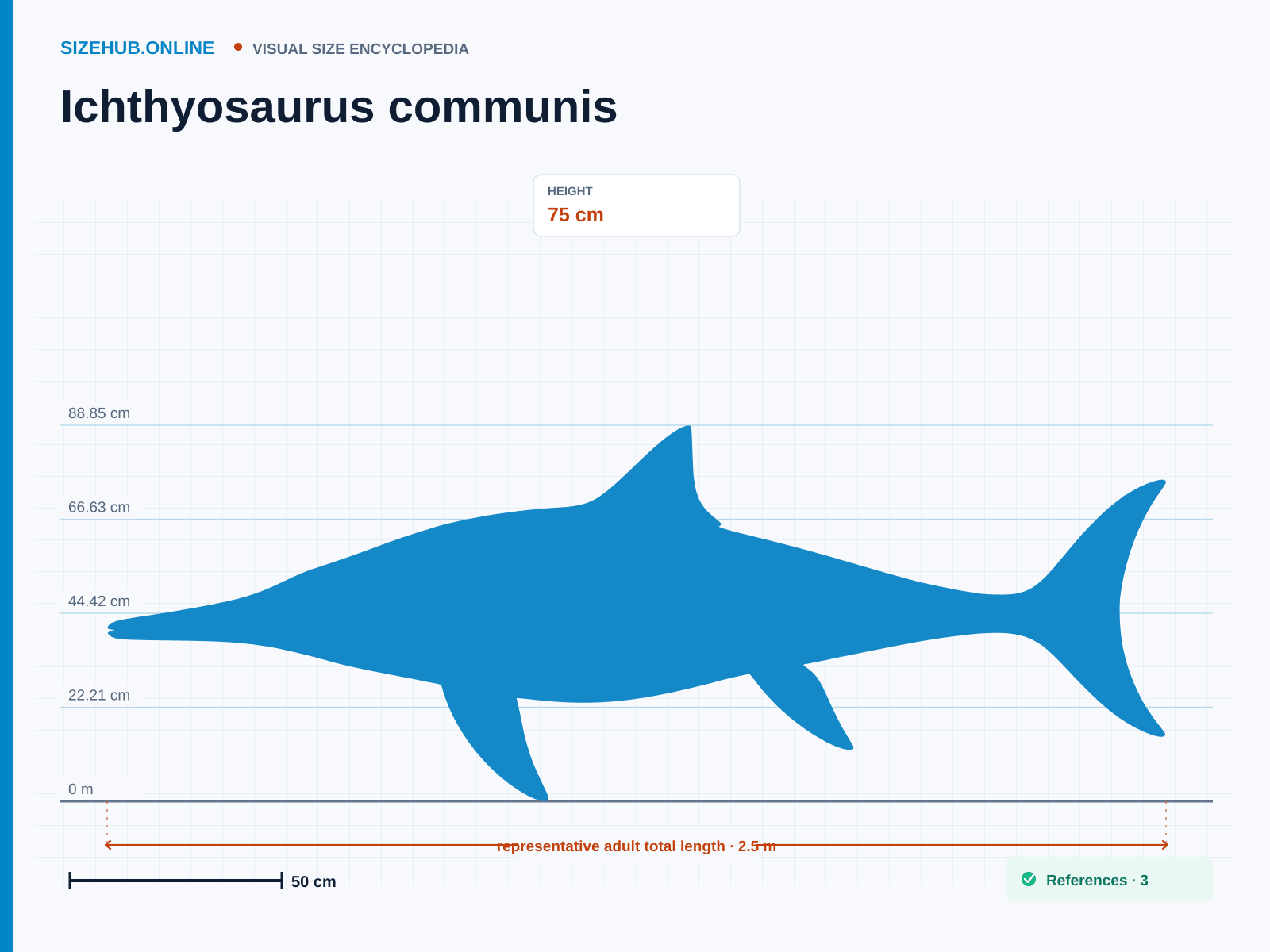 Ichthyosaurus communis: Size infographic · Height 75 cm · Length 2.5 m