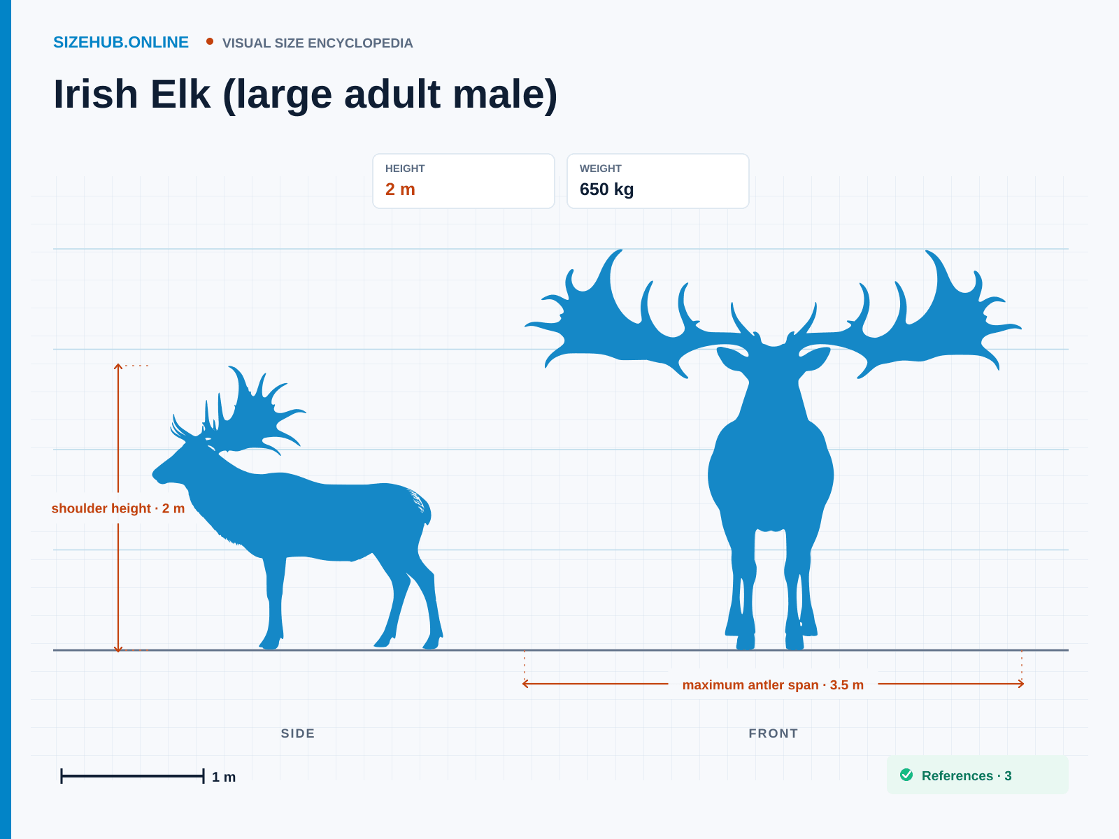Irish Elk (large adult male): Size infographic · Height 2 m · Width 3.5 m