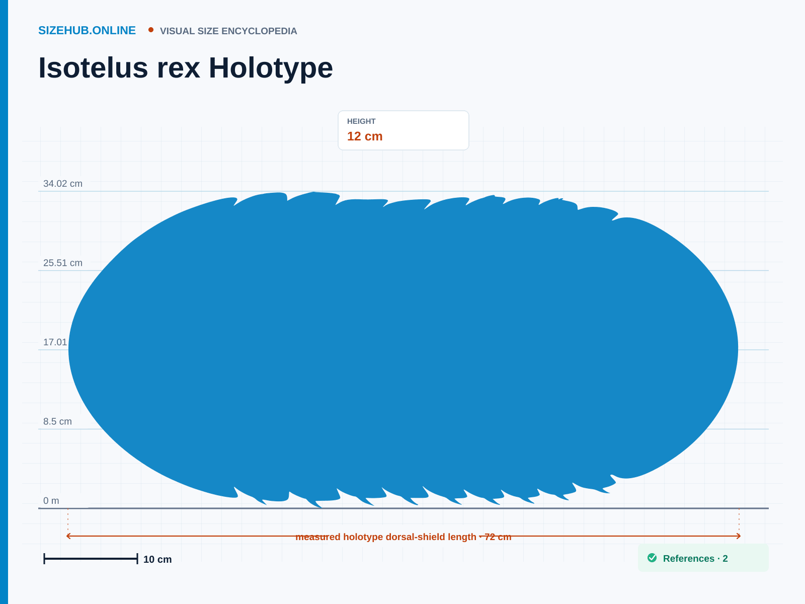 Isotelus rex Holotype: Size infographic · Height 12 cm · Length 72 cm · Width 40 cm