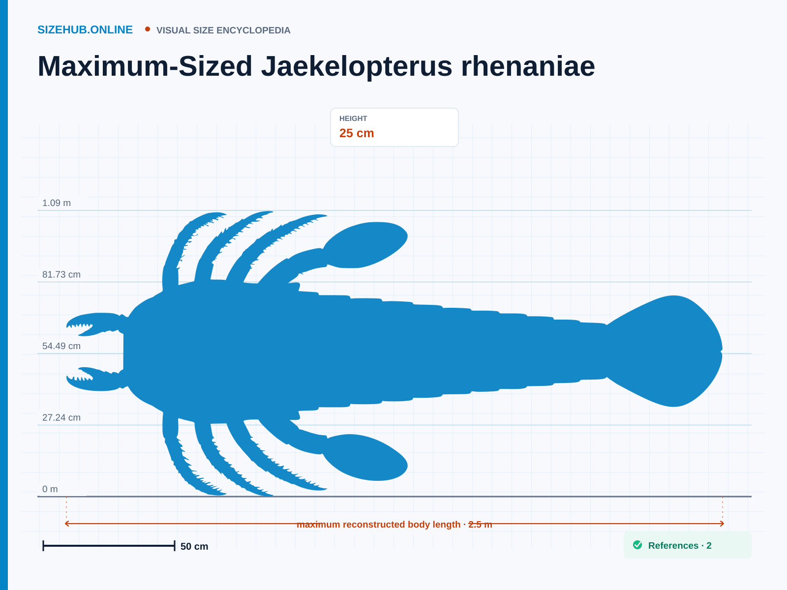 Maximum-Sized Jaekelopterus rhenaniae: Size infographic · Height 25 cm · Length 2.5 m · Width 90 cm