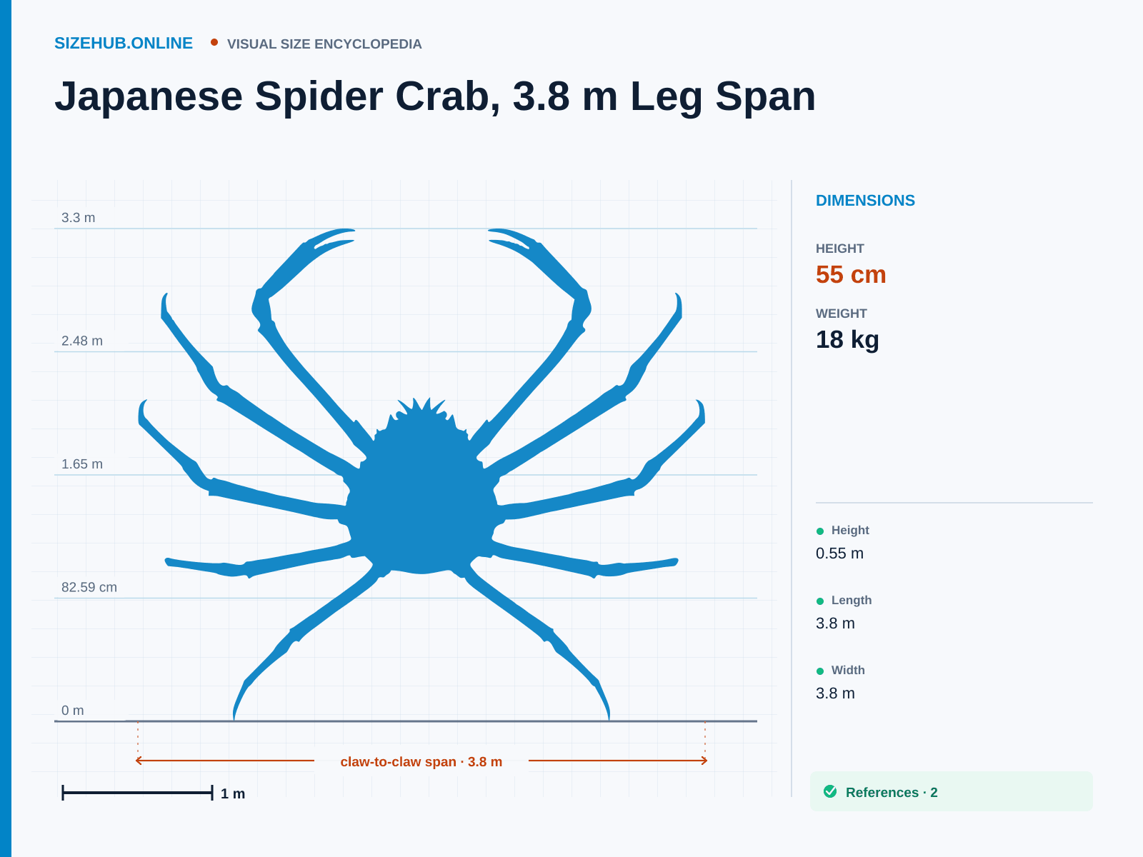 Japanese Spider Crab, 3.8 m Leg Span: Size infographic · Height 55 cm · Length 3.8 m · Width 3.8 m