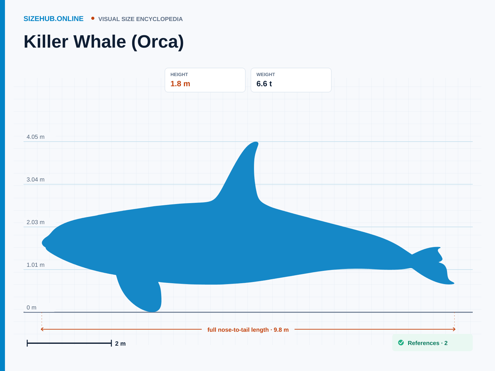 Killer Whale (Orca): Size infographic · Height 1.8 m · Length 9.8 m