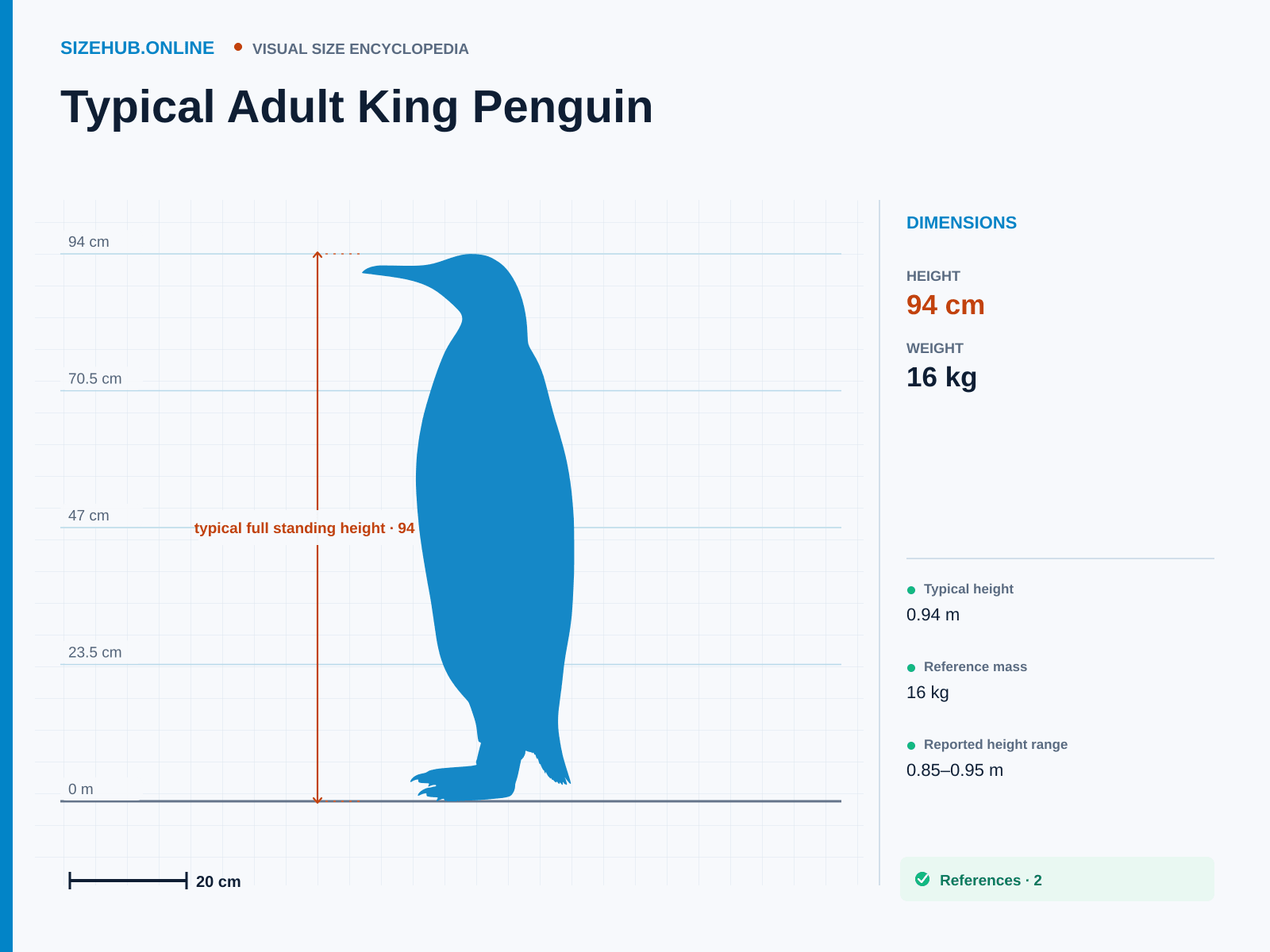 Typical Adult King Penguin: Size infographic · Height 94 cm