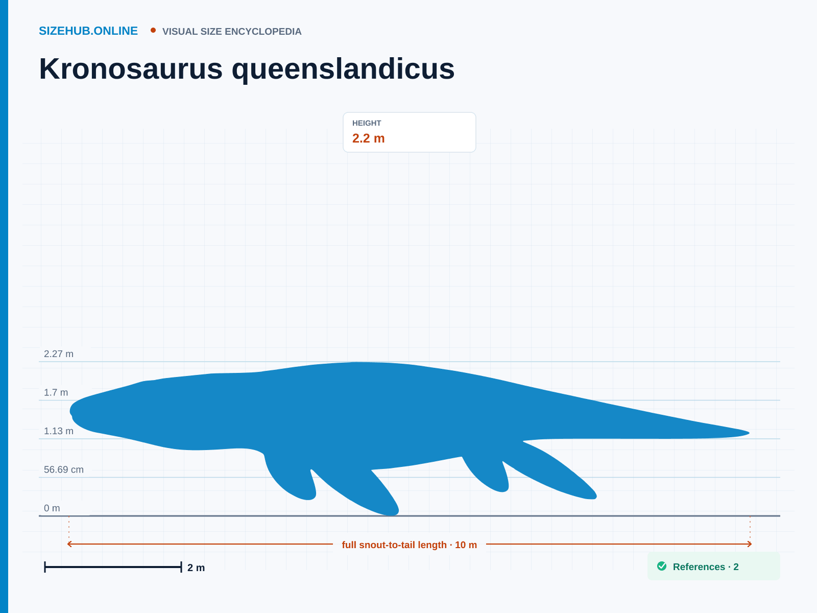 Kronosaurus queenslandicus: Size infographic · Height 2.2 m · Length 10 m