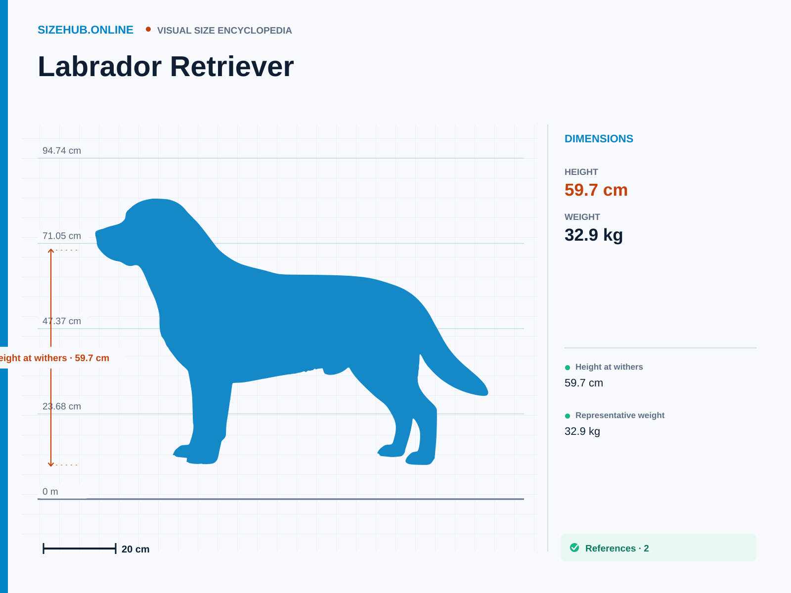 Labrador Retriever: Size infographic · Height 59.7 cm