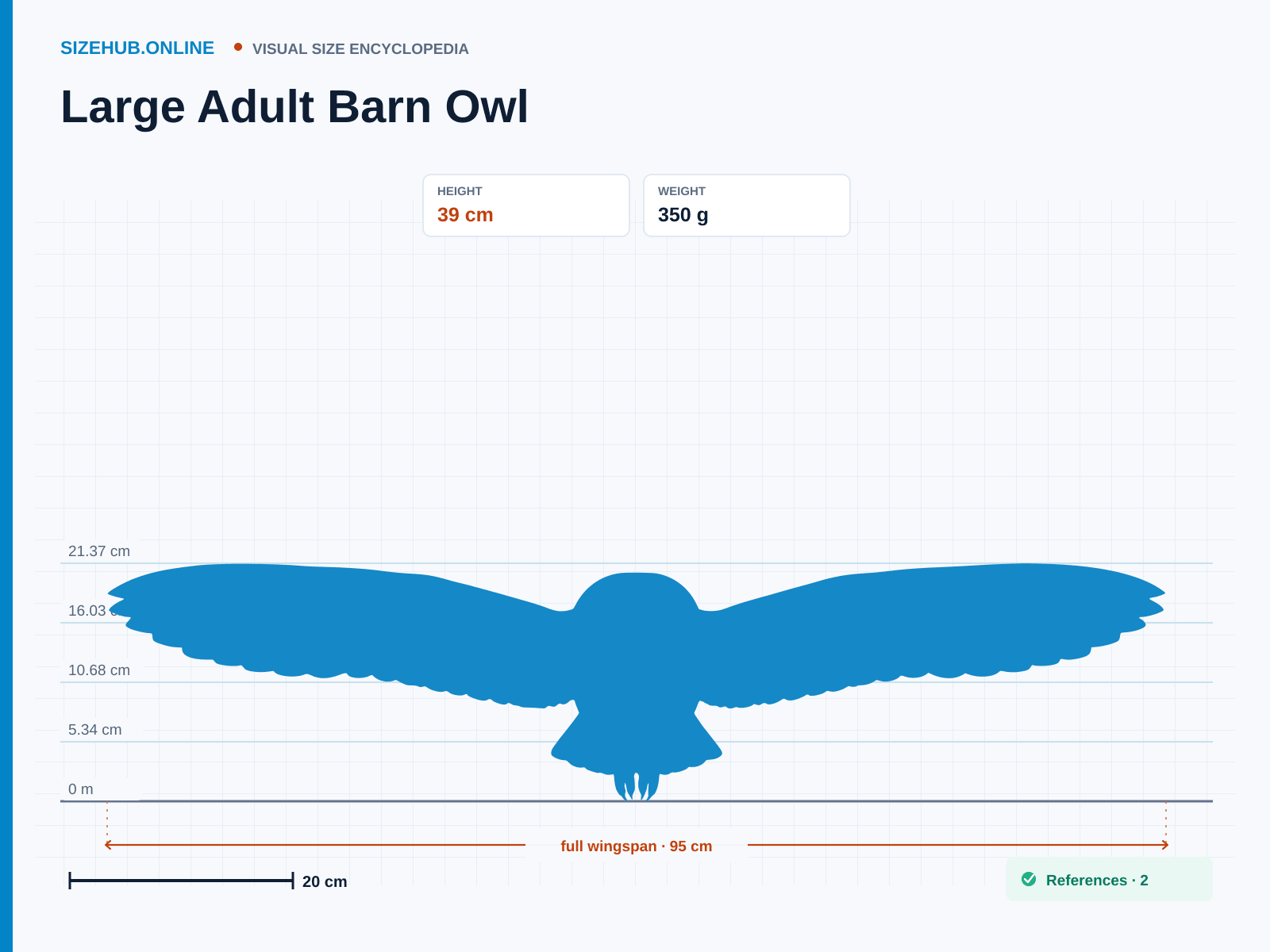 Large Adult Barn Owl: Size infographic · Height 39 cm · Width 95 cm