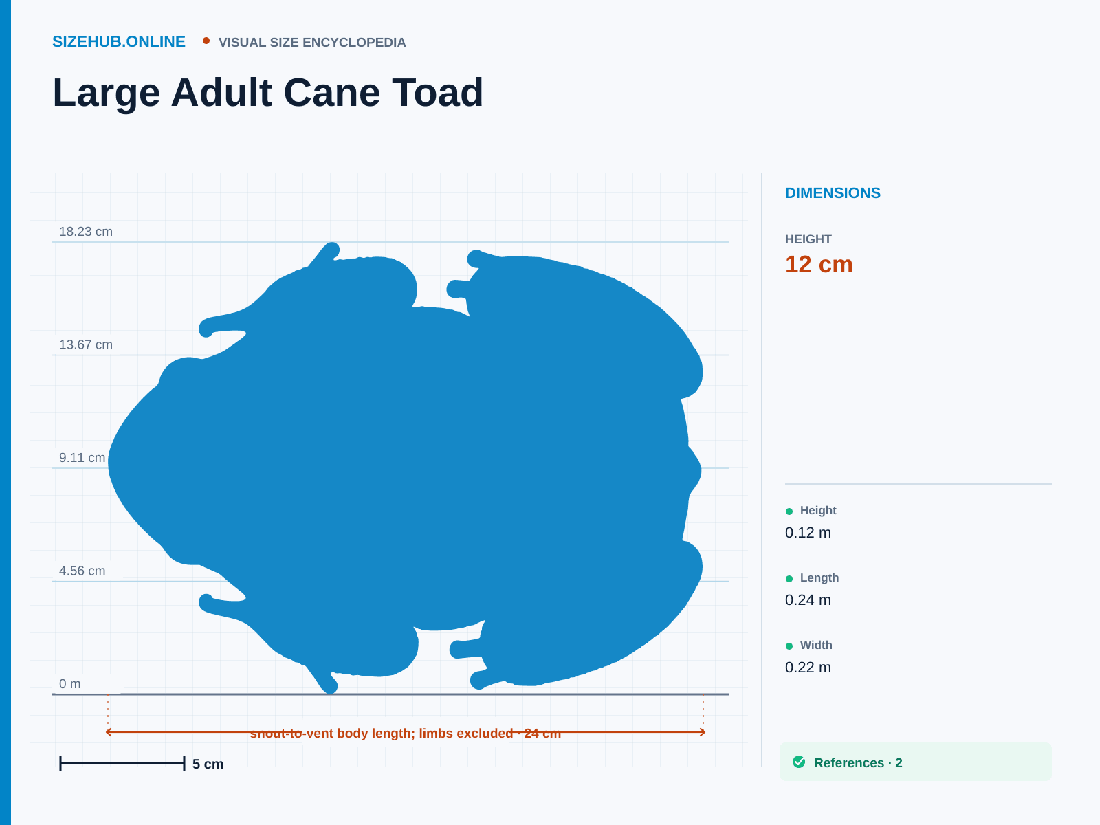 Large Adult Cane Toad: Size infographic · Height 12 cm · Length 24 cm · Width 22 cm