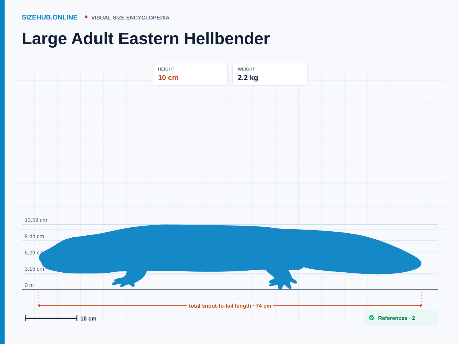 Large Adult Eastern Hellbender: Size infographic · Height 10 cm · Length 74 cm · Width 18 cm