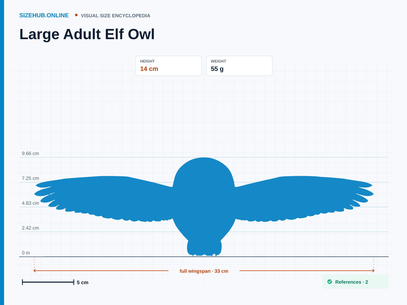 Large Adult Elf Owl: Size infographic · Height 14 cm · Width 33 cm