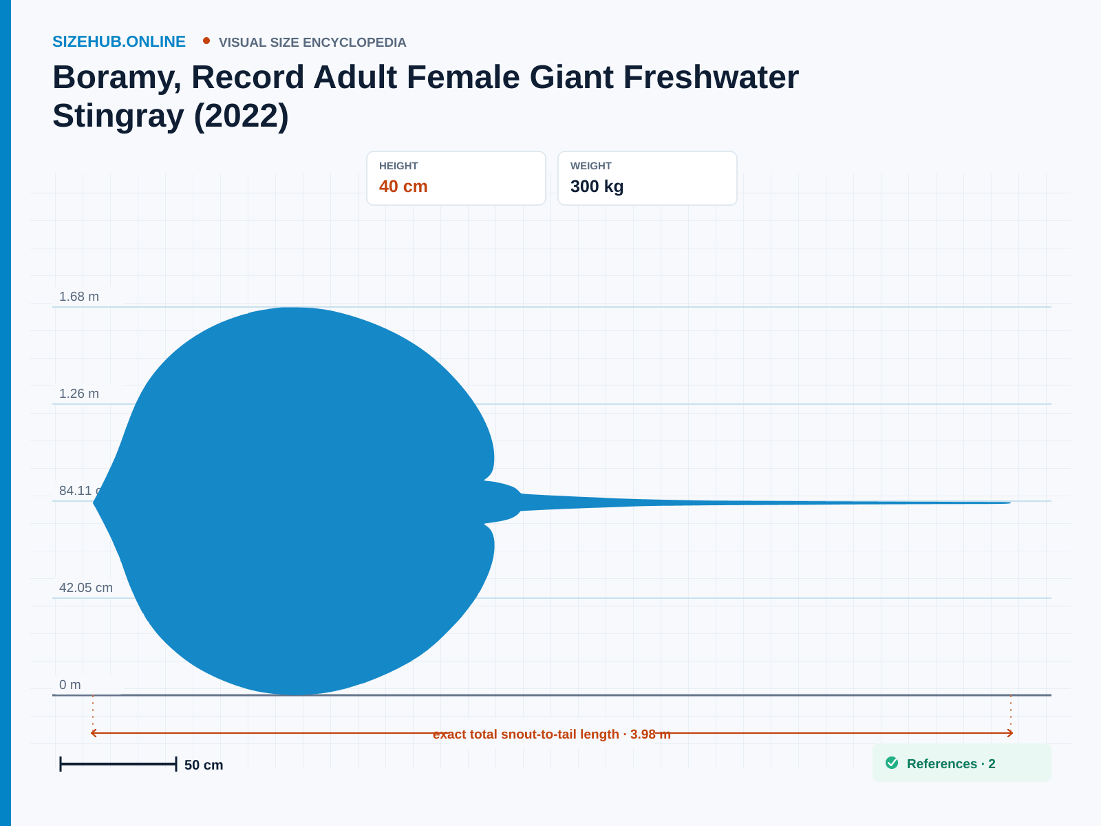 Boramy, Record Adult Female Giant Freshwater Stingray (2022): Size infographic · Height 40 cm · Length 3.98 m · Width 2.2 m