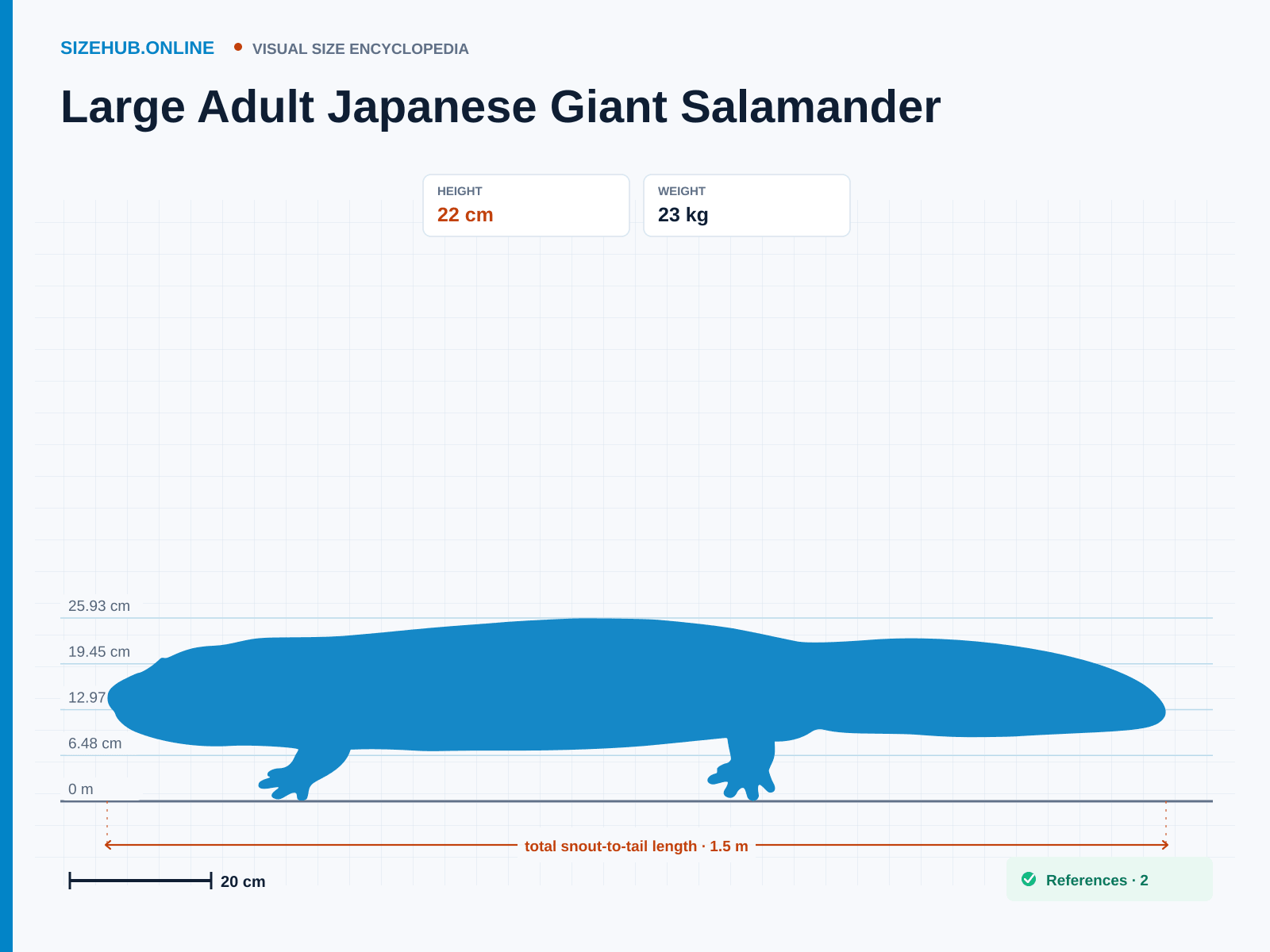 Large Adult Japanese Giant Salamander: Size infographic · Height 22 cm · Length 1.5 m · Width 30 cm