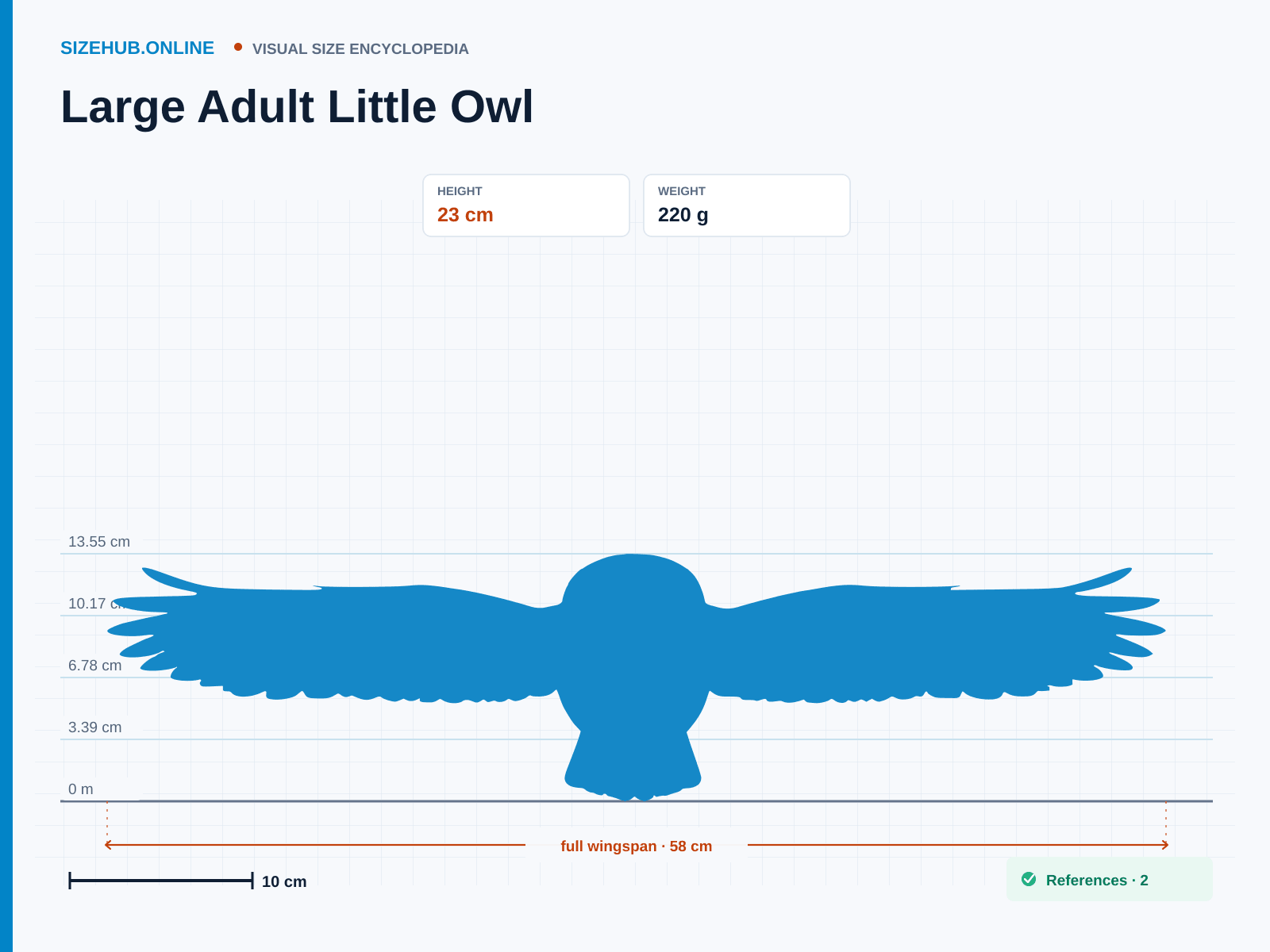 Large Adult Little Owl: Size infographic · Height 23 cm · Width 58 cm