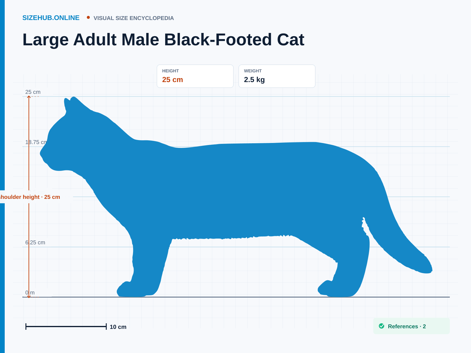 Large Adult Male Black-Footed Cat: Size infographic · Height 25 cm · Length 63 cm