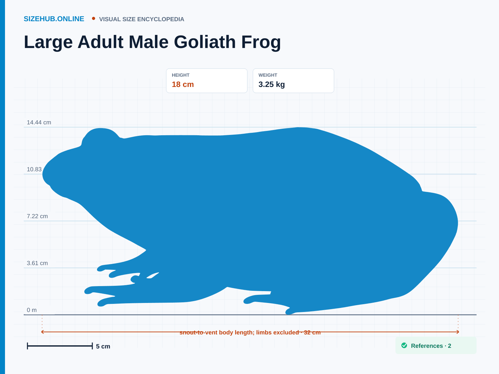 Large Adult Male Goliath Frog: Size infographic · Height 18 cm · Length 32 cm