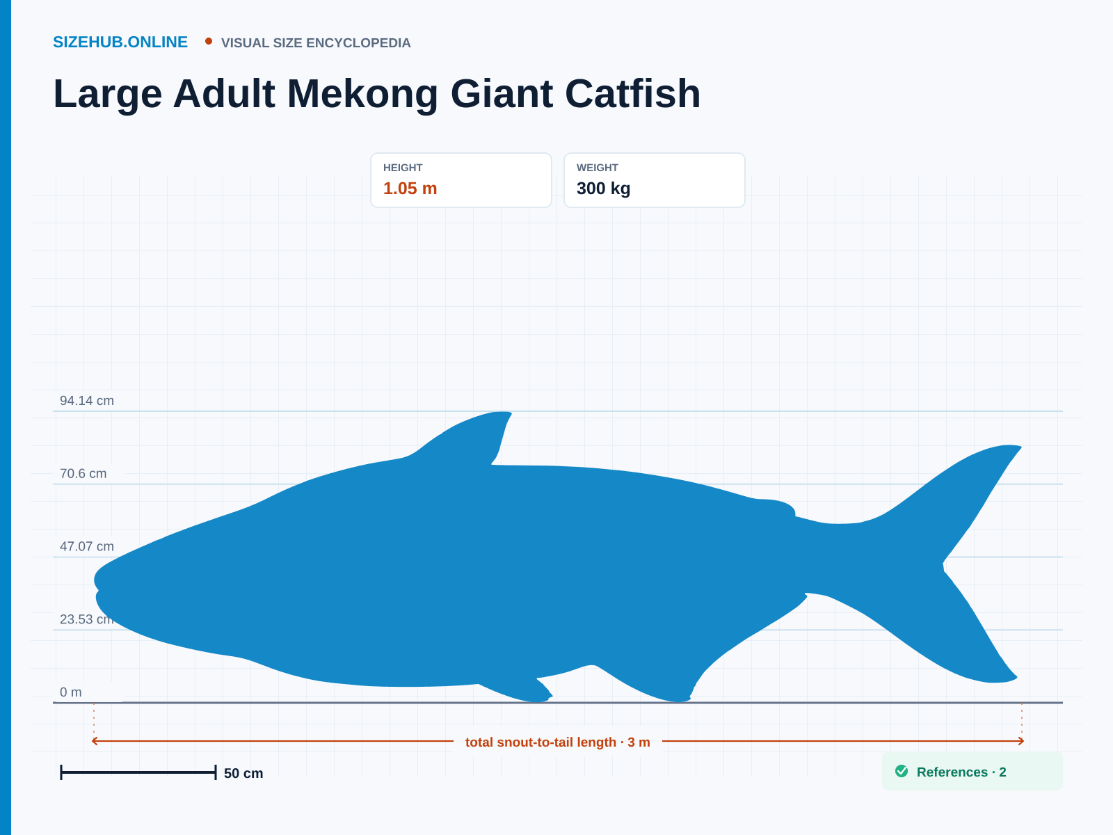 Large Adult Mekong Giant Catfish: Size infographic · Height 1.05 m · Length 3 m