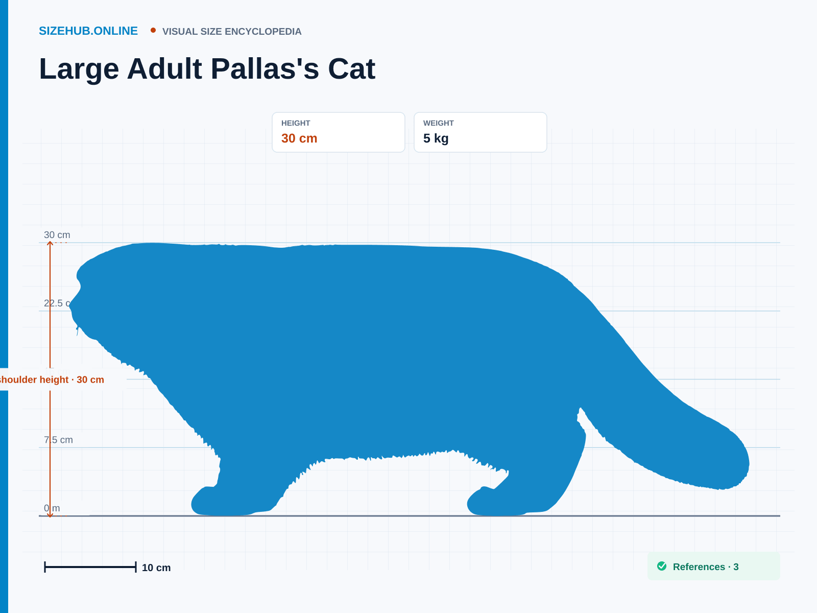 Large Adult Pallas's Cat: Size infographic · Height 30 cm · Length 90 cm