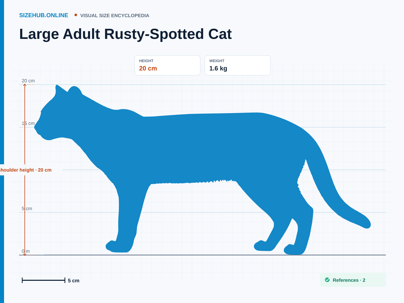 Large Adult Rusty-Spotted Cat: Size infographic · Height 20 cm · Length 73 cm