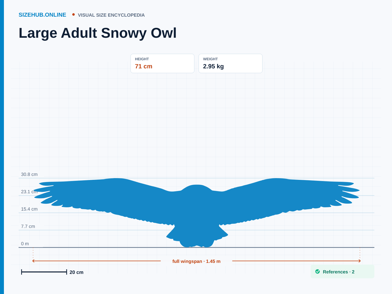 Large Adult Snowy Owl: Size infographic · Height 71 cm · Width 1.45 m