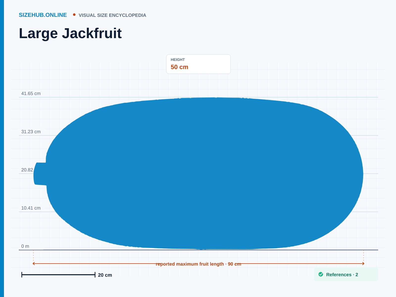 Large Jackfruit: Size infographic · Height 50 cm · Length 90 cm · Width 50 cm