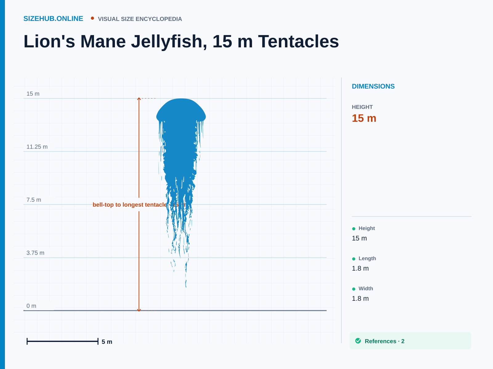 Lion's Mane Jellyfish, 15 m Tentacles: Size infographic · Height 15 m · Length 1.8 m · Width 1.8 m